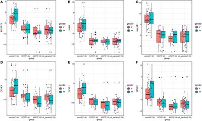 A Diagnostic Panel for Acquired Immune-Mediated Polyneuropathies Based on the Expression of lncRNAs